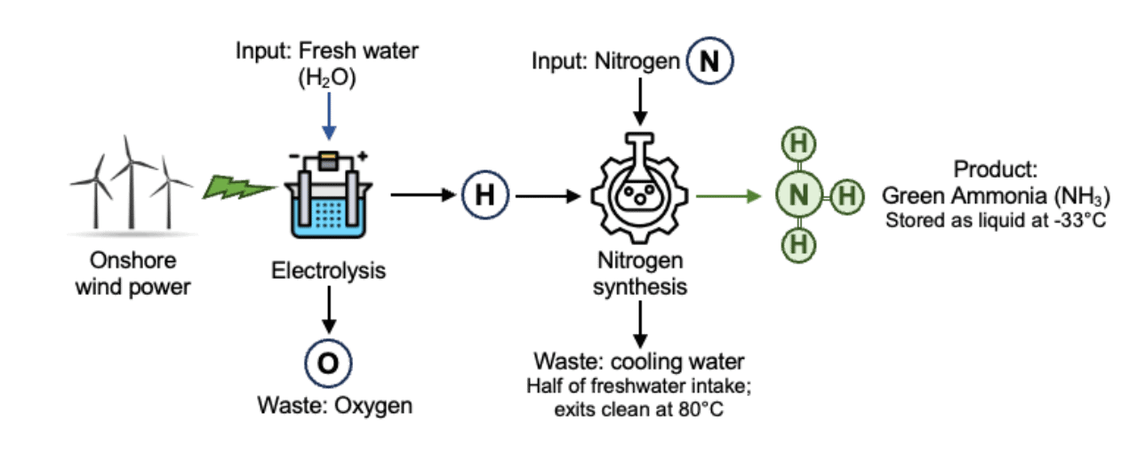 diagram showing chemical process of making green ammonia