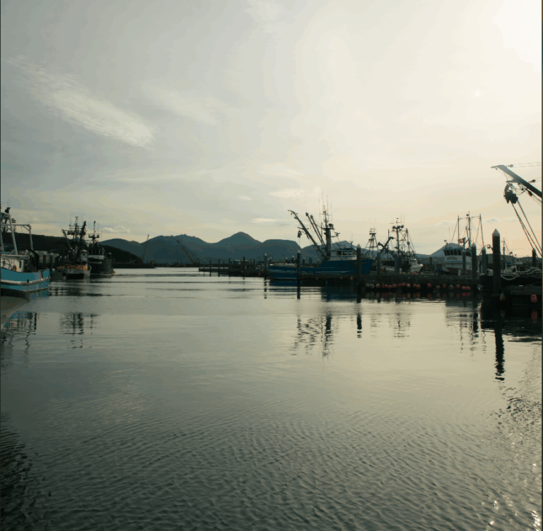 Sand Point, Alaska Boat Harbor - Summer 2025