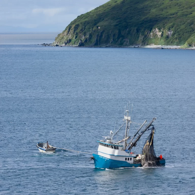 F.V. Lady Lee Dawn fishing in the bay outside King Cove, Alaska in August, 2025.