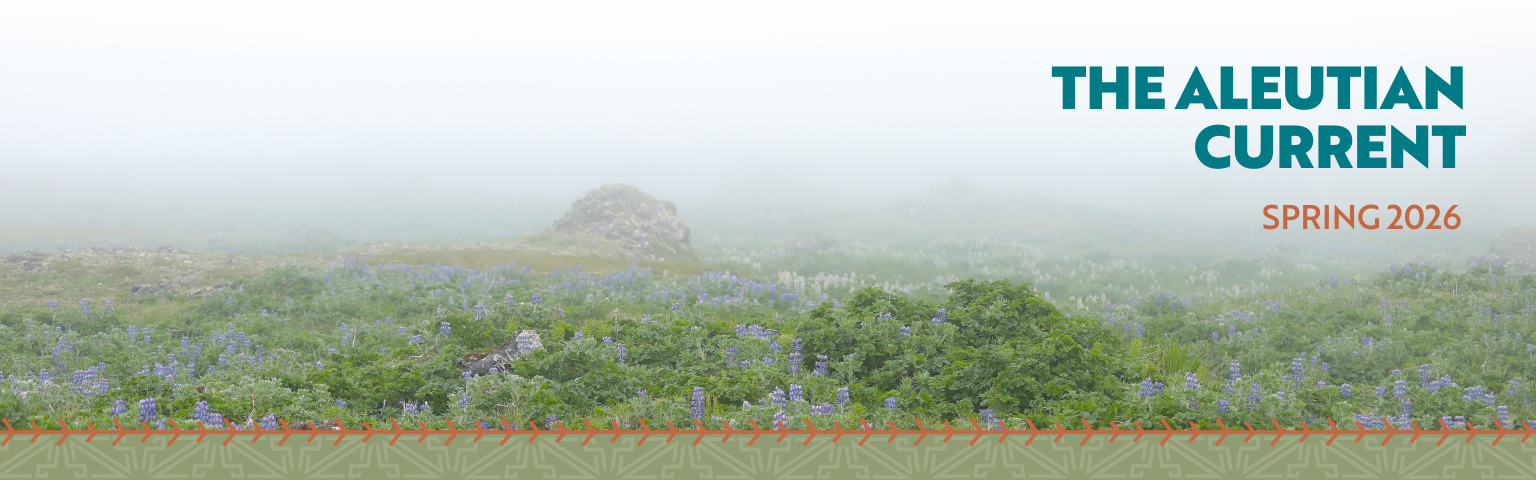 26 03 Spring 2026 Newsletter Landing Page Image